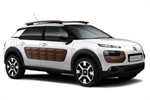 C4 Cactus