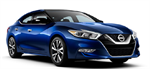 Maxima VII