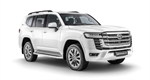 Land Cruiser VIII