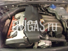 Audi A4 (B6) 2.0 