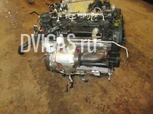 Motor Engine Moteur AUDI 2.0 TDI DDD DDDA A6 AVANT 59.000km  Komplett Garantie