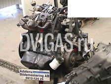 мотор - 3,8-литровый V6 L27 - FGA0072925 - Год 1995 - 295 130 км