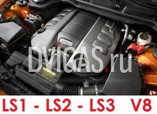 Holden LS1 LS2 V8 LS3 GEN3 двигатель мотор HSV SS GM 5,7 6,0 6,3 L Clubsport Руководство