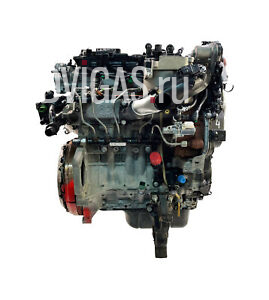 Motor für Peugeot Citroen 3008 308 208 C3 C4 1,6 HDi 9HR DV6C 0135TQ