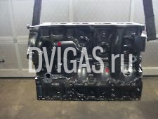 Triebwerk Shortblock im Austausch Fiat Ducato 2,3 JTD - Motor: F1AE0481D - Motor