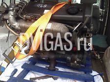 Fiat Ducato 2,8 ITD, 122 PS,  TDI 2,8, Ducato,Boxer Motor, Jumper 2,8 ITD,Iveco