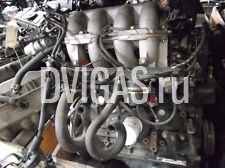Ford USA Probe I 1 Motor 2,2l GT 108kw 147PS Turbo 1FDTP22L1M5130929 Benzin Otto