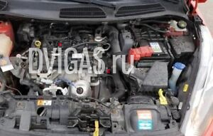 Motor Ford B-Max Fiesta 1.0 Ecoboost SFJA SFJB SFJC SFJD 74 KW 100 PS 38 TKM