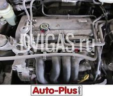FYDC Motor Ottomotor Ford Focus DAW 1.6 16V 74kW