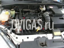 2004 Ford Focus 1,6 16V Benzin Motor Engine FYDA FYDB FYCD FYDD 100 PS