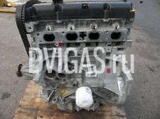 Ford Focus C-Max 1.6 Motor SHDA