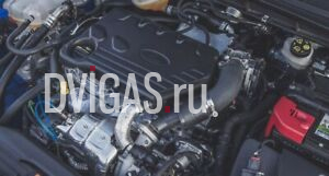 2019  Ford Focus IV 1,5 EcoBlue Motor Engine ZTDB 88 KW 120 PS