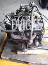 Ford Transit 100 TAS Motor, Bj. 1990   (51)