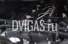 Ford Transit  2,4 TDCI JXFA 115 PS Motor 2009 JXFA  85 KW