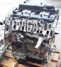 Ford Transit / Custom 2,2 TDCI Diesel Motor mit Hochdruckpumpe ab Bj 2013 (51)