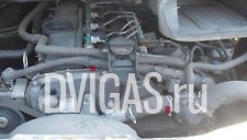 Ford Transit 2.4 TDCI 85 KW 115 PS JXFA Motor JXFC Moteur Engine 2006 - 2012