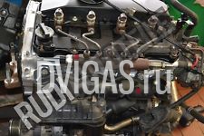 Ford Transit Bus/Pritsche 3,2TDCI Motor SAFA; -B