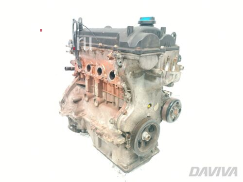 Hyundai i20 nur Motor 1.2 Benzin 57kW (78 HP) G4LA 2011 Hatchback (08-12) Klare