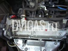 Motor Fiat Panda 1.2 188A4.000 56TKM 188A4000