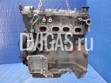 Motor f