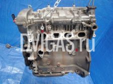 Motor f