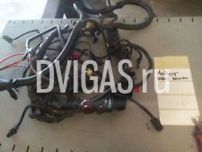 RENAULT ESPACE III (JE0_) 3.0 V6 Bj98  Motor Kabelbaum Kabelb