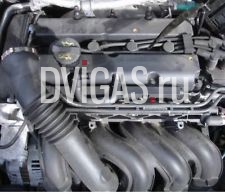 Ford Fiesta 1,25 FUJA Motor 55 KW 75 PS BJ 2008 FU JA