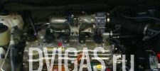 Nissan Almera Tino Primera 1,8 Motor QG18DE QG18 116 PS