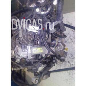 TEILMOTOR YD25 FÜR NISSAN MURANO Z51 2.5 DCI (140KW) 4WD SUV 5P/D/2488CC 2008
