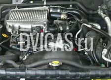 Nissan Patrol 3,0 D Motor Y61 2006 ZD30DDTi Moteur 160PS ZD30
