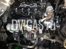 Opel Motor 1.7 CDTI Z17DTJ  Z17DTR Bj 2011  A17DTJ A17DTR 32 785 km