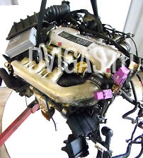 Opel Vectra B 2,5 i  V6, Motor mit Steuerger