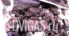 CITROEN BERLINGO 1,1L BENZIN * MOTOR * HFX * TU1JP *TOP * 149TKM SCHECKHEFT VOR.