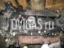 Motor 8HZ Peugeot 107 206 207 307 Xsara Citroen C5 C3 1.4 HDI 8HX DV4 50 kW