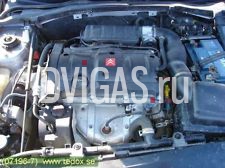 CITROEN XSARA Motor - 1,6   NFU (TU5JP4) - NFU - Bj 2001 - 82350 km