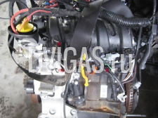 MOTOR KOMPLETT - D4F740 - 26.762km - NEUWERTIG RENAULT CLIO 1.2 16V 75 NIGHTDAY