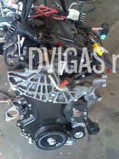 RENAULT TRAFIC Motor - 2.0DCI - M9R-L782/6TR - Bj 2009 - 81000 km
