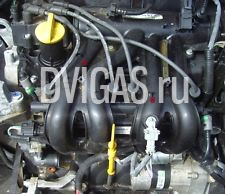 Motor Renault Twingo 1.2 D7F800 BJ.2009 23TKM 58PS
