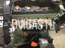 AUDI A4 Diesel Motor CFF CFFA/B/D 2.0 TDI 2010 Common Rail Golf VI A3 Q5 140PS