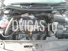 Neu eingestellt Motor 1,4 Tdi AMF BNM BNV BAY Polo Audi Seat Skoda Bj: 2008 nur ca.49.654 meilen
