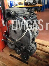 VW Polo 6N Motor 1,7SDI 44Kw 60Ps Bj.1998 AKU