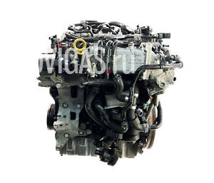 Motor für Skoda Audi Seat VW Octavia A3 Leon Golf 1,6 TDI DDYA DDY 04L100037S