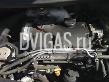 Motor VW Fox Lupo Polo 9N Seat Ibiza 6L Skoda Fabia 1,4 TDI 75PS Motorcode: BNM 