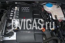 BWE Motor Moteur Engine Audi A4 S4 Seat Exeo 2,0 TFSI 147 kW 200 PS