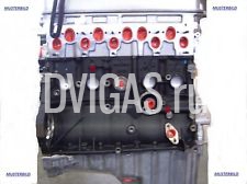 Motor Austausch VW 1,9 TDI - AFN, AHU, 1Z - Golf, Polo