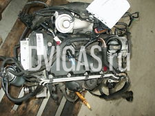 Motor AXR aus VW Polo 9N3 1.9TDI  2008 74KW 116.000 km Scheckheft