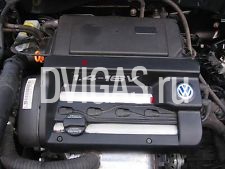 VW GOLF 1.4 16V AHW BCA  ENGINE 1999-2005 ENIGNE SUPPLY AND FIT AHW BCA ENGINE