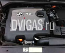 2009 VW Polo Golf Passat Touran Audi A1 A3 Seat Altea 1,6 TDI CR Motor CAY CAYC