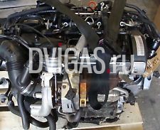 VW Audi Golf 6 A3 Motor 1.6 TDI CAY CAYB CAYC CAYD CAYE Caddy Leon Golf Plus