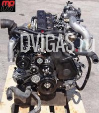 Toyota Hilux III 3.0D Motor Land Cruiser J12 KDJ120 166PS/171/173PS D-4D 1KD-FTV